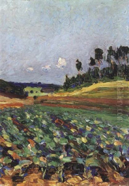 Landschaft Bei Regensburg - view 1