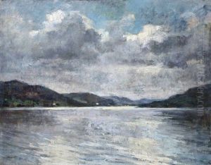 Fenyek A Dunakanyarban