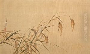 Sparrow In Rice Plants