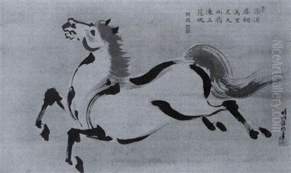 Galoppierendes Pferd - view 1