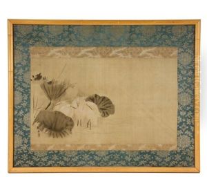 Four Cranes Hiding In Water Lilies