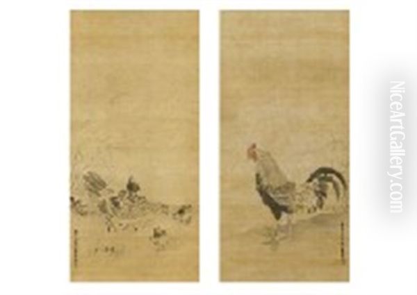 Chicken - view 1