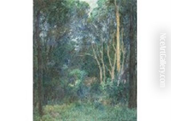 Landscape - view 1