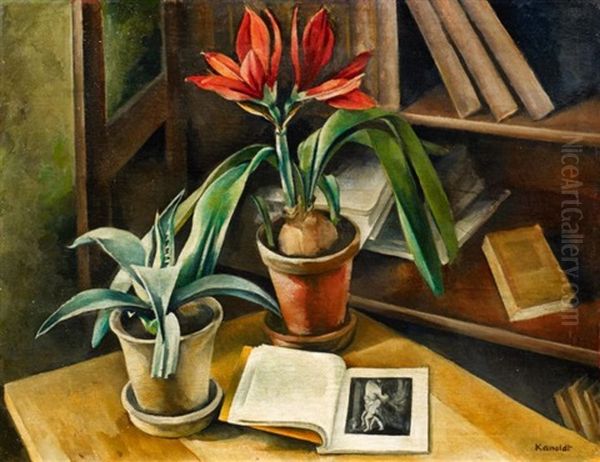 Amaryllis Ii - view 1