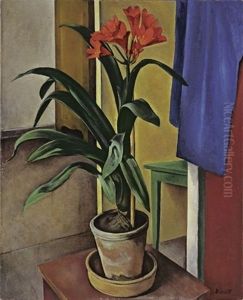 Interieur Mit Grosser Clivia Interieur Mit Grosser Clivia