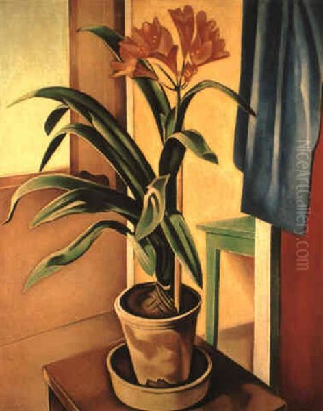 Clivia (stilleben) - view 1