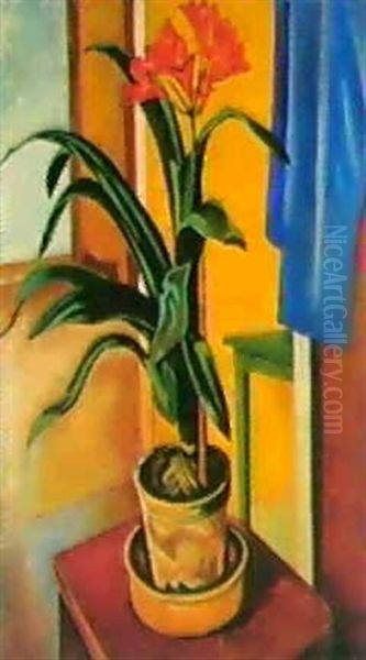 Amaryllis - view 1