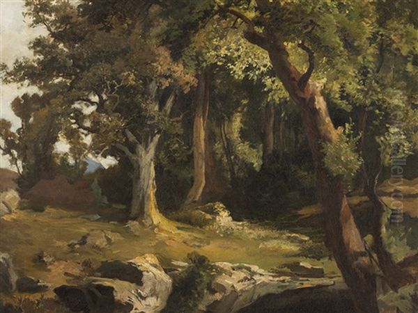 Forest Landscape - view 1