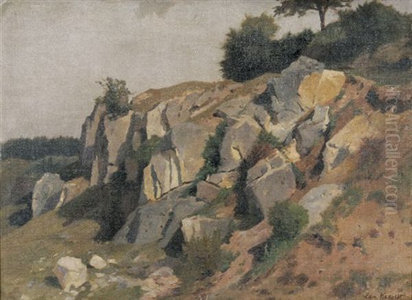 Felsiger Abhang - view 1