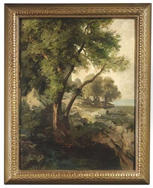Felslandschaft Mit Baumen An Einer Kuste - view 1