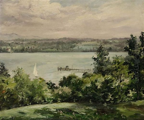 Bei Konstanz - view 1