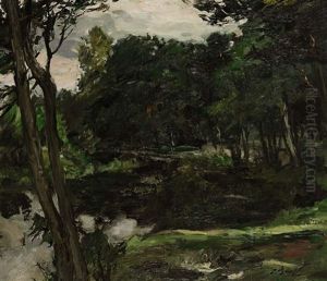 Baume Am Teich by Paul Kapell