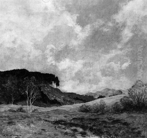 Einsame Hugelige Landschaft Mit Gerodeter Hangpartie - view 1