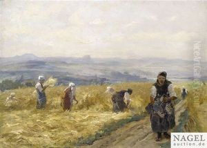 Grain Harvest In Swabian Landscape