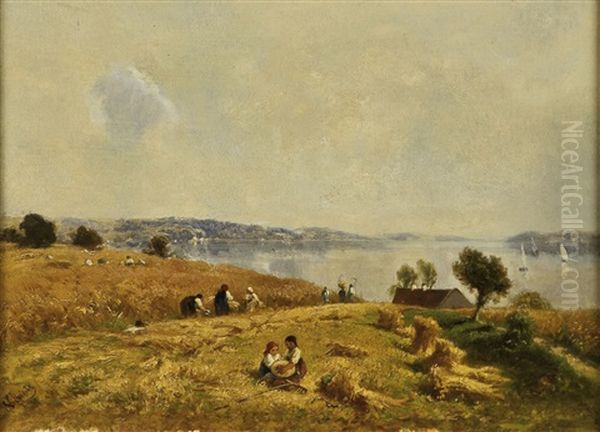 Kornernte - view 1
