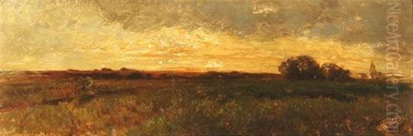 Weite Landschaft Im Abendlicht - view 1