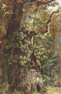 Alte Eiche Im Wald by Albert Kappis