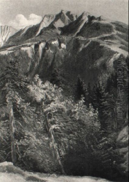 Hochgebirgslandschaft - view 1