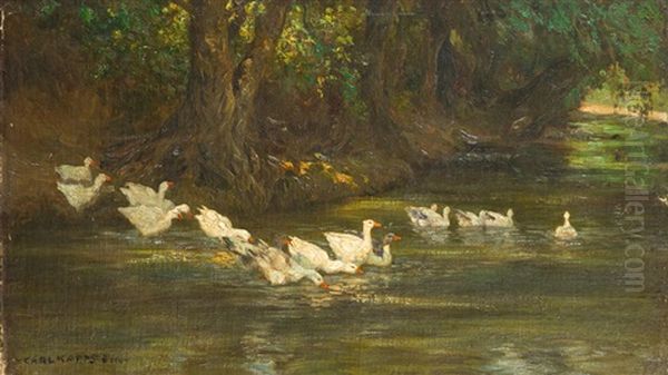 Enten Am Weiher - view 1