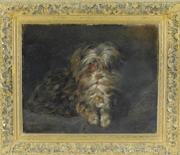 Portrait Eines Shihtzu - view 1