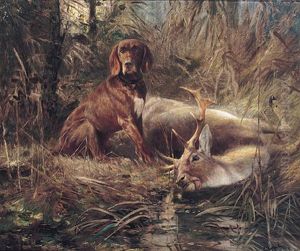 Wildpark by Carl Friedrich Kappstein