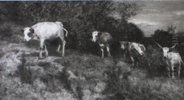 Eine Kuhherde Auf Saftiger Wiese - view 1