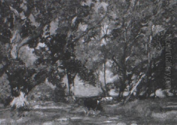 Cattle Grazing In A Wooded Landscape - view 1