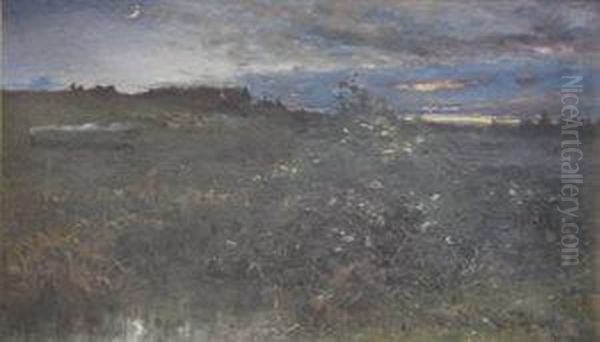 The Edge Of The Forest At Sunset With A Rising Crescent Moon - view 1