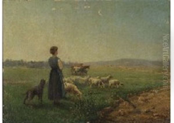 Landscape - view 1