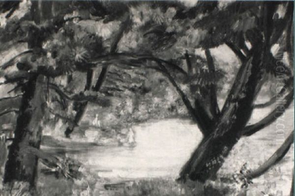 Swimming Pond In The Woods - view 1