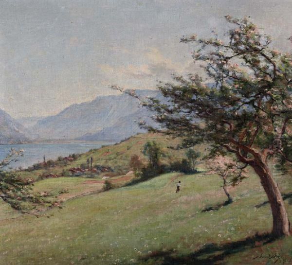 Aeschi - view 1