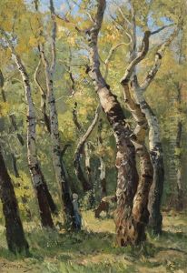 Birkenwald by Jenoe Karpathy