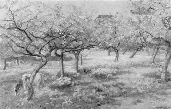 Vaches Dans Le Verger - view 1