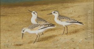 Waders by Matti Karppanen