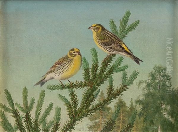 A Pair Of Yellowhammers - view 1
