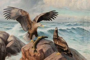 Catch by Matti Karppanen