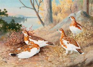 Autumn Birds by Matti Karppanen