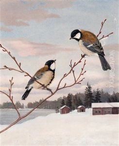 Great Tits by Matti Karppanen