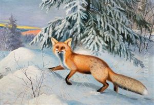 Fox by Matti Karppanen