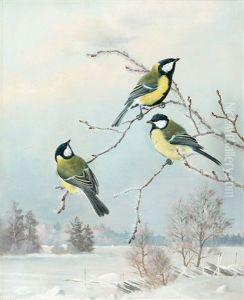 Great Tits by Matti Karppanen