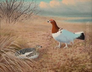 Willow Grouse by Matti Karppanen