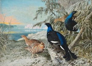 Birds In Winter by Matti Karppanen