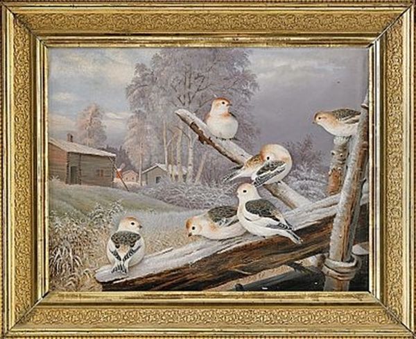 Vinterlandskap Med Faglar - view 1