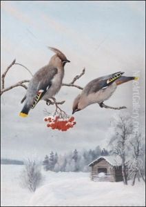Tilhet Oksalla - Sidensvansar Pa Grenen by Matti Karppanen