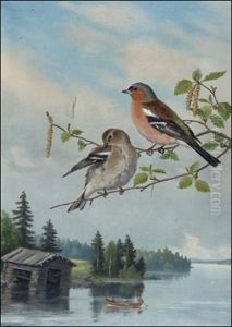 Peippoja by Matti Karppanen