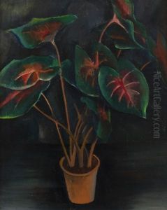Filodendron