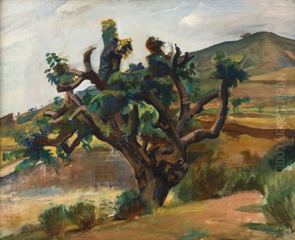 Krajina Se Stromem - view 1