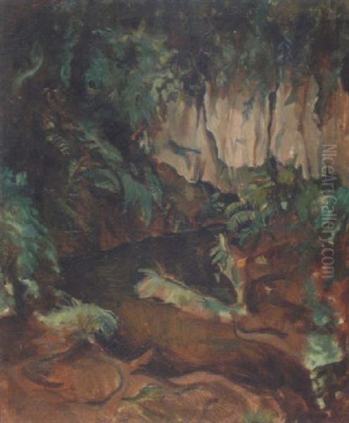 Dans La Foret - view 1