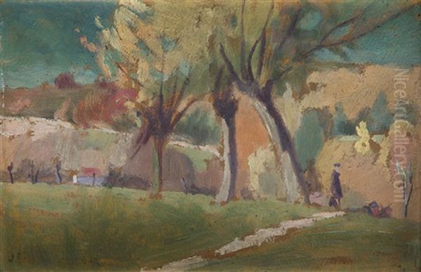 Landscape - view 1