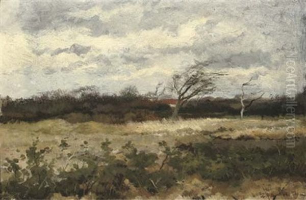 A Windy Day In Autumn - view 1